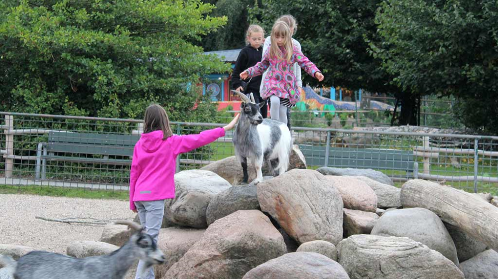 Hals Strand Camping visit Aalborg Zoo børn